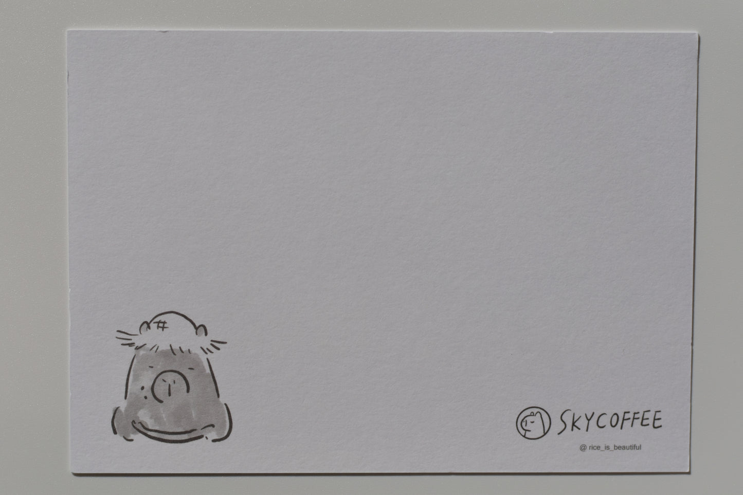 SKYCOFFEE postcard - sunflowers and watermelon