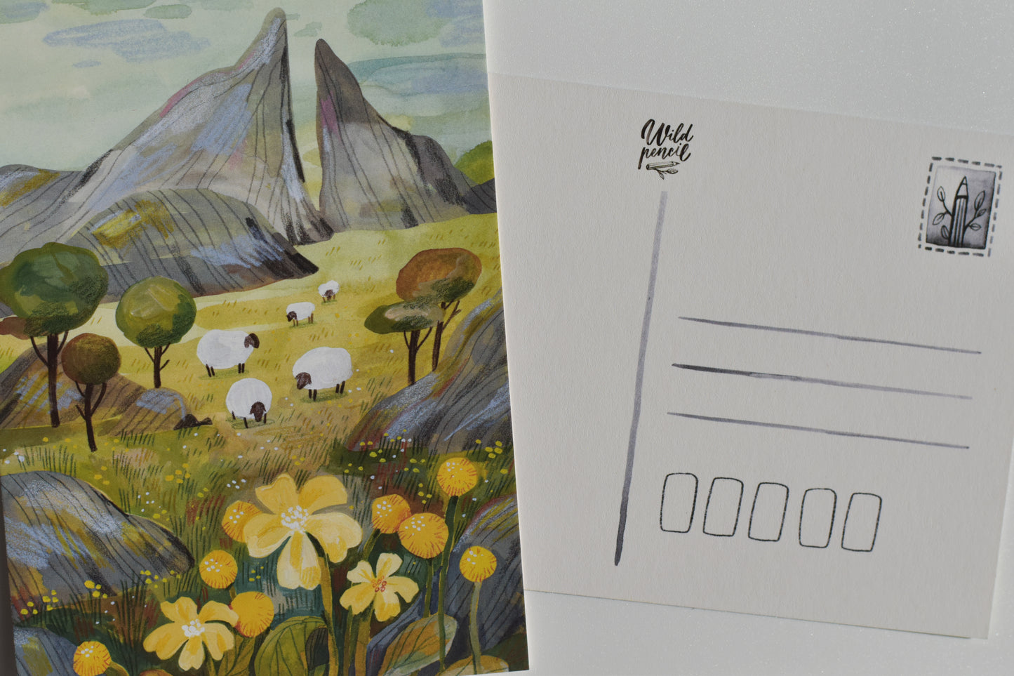 Wild Pencil postcard - sheep