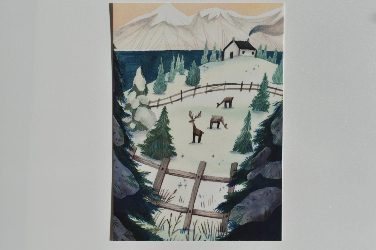 Wild Pencil postcard - winter meadow
