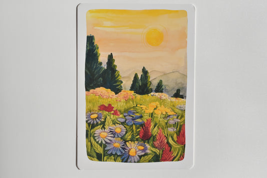 Wild Pencil postcard set - landscape