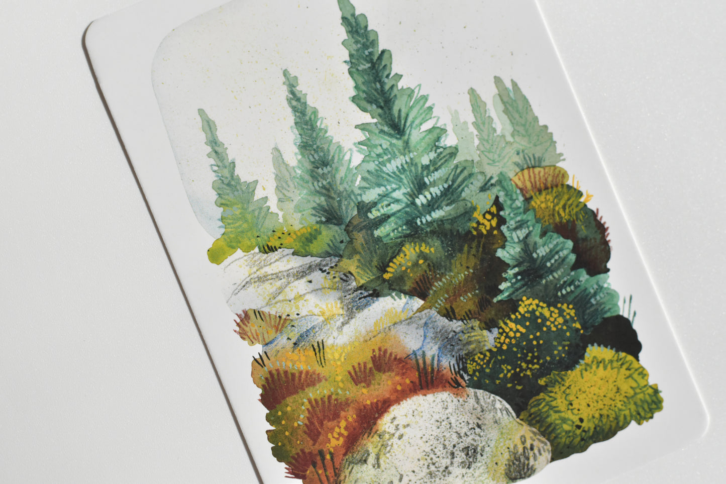 Wild Pencil postcard set - landscape