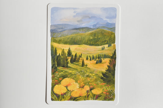 Wild Pencil postcard set - landscapes II