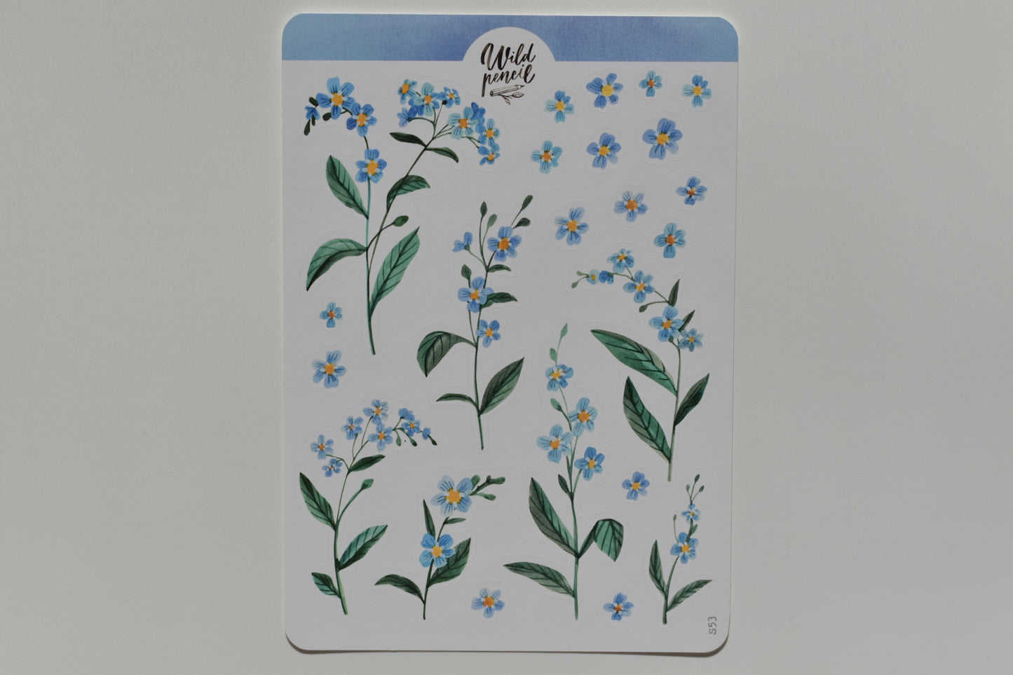 Wild Pencil sticker sheet - forget-me-not flowers