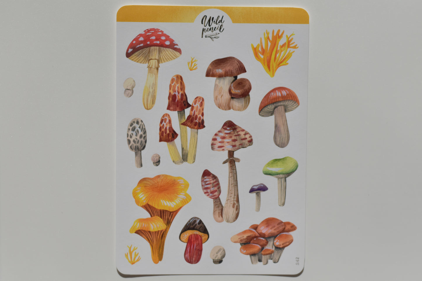 Wild Pencil sticker sheet - mushrooms