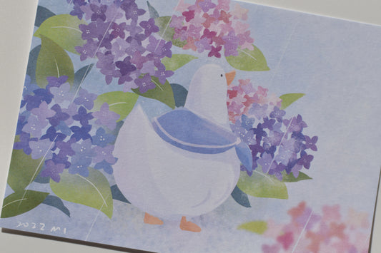 SKYCOFFEE postcard - hydrangea