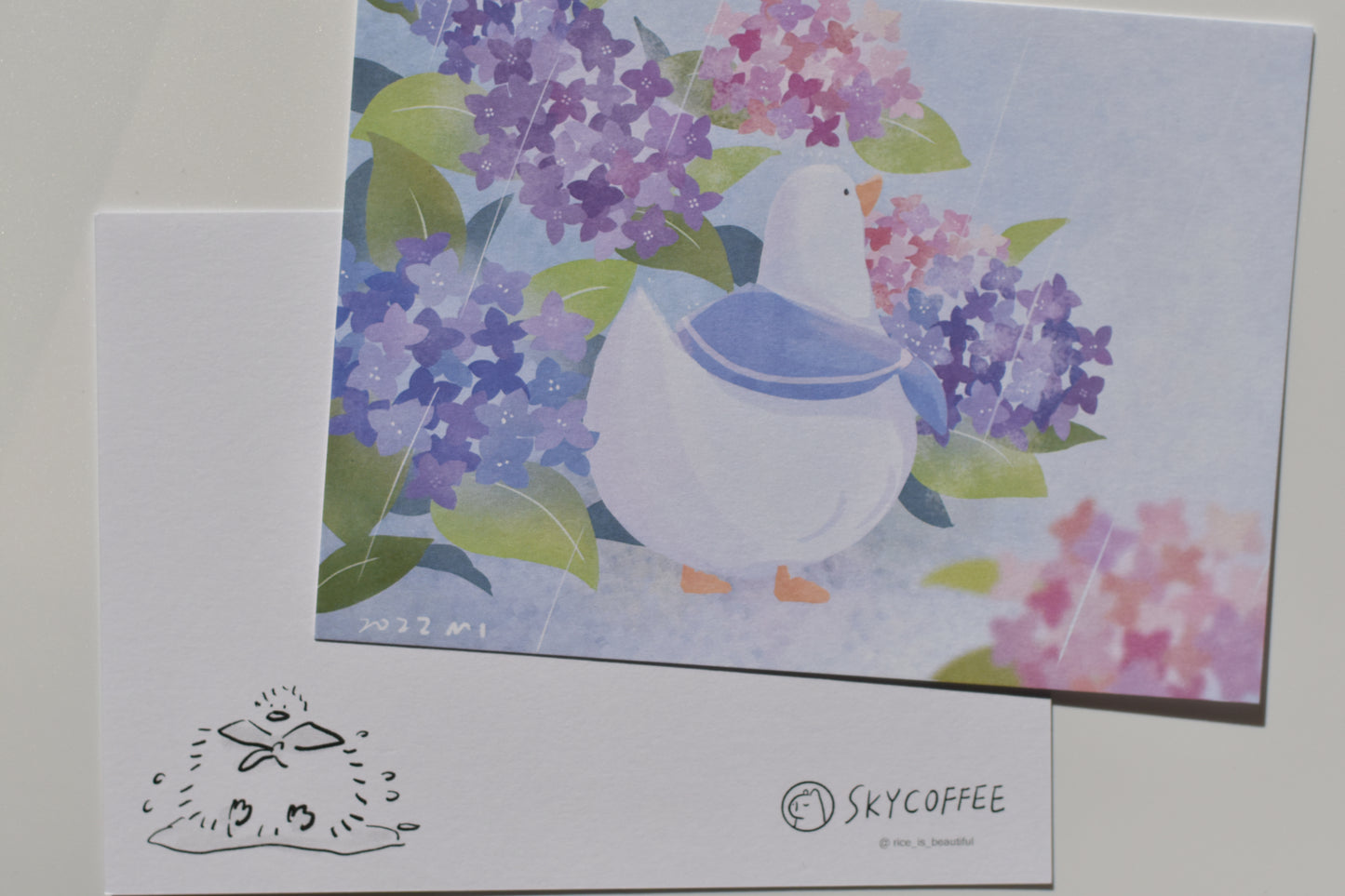 SKYCOFFEE postcard - hydrangea