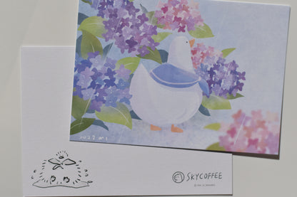 SKYCOFFEE postcard - hydrangea