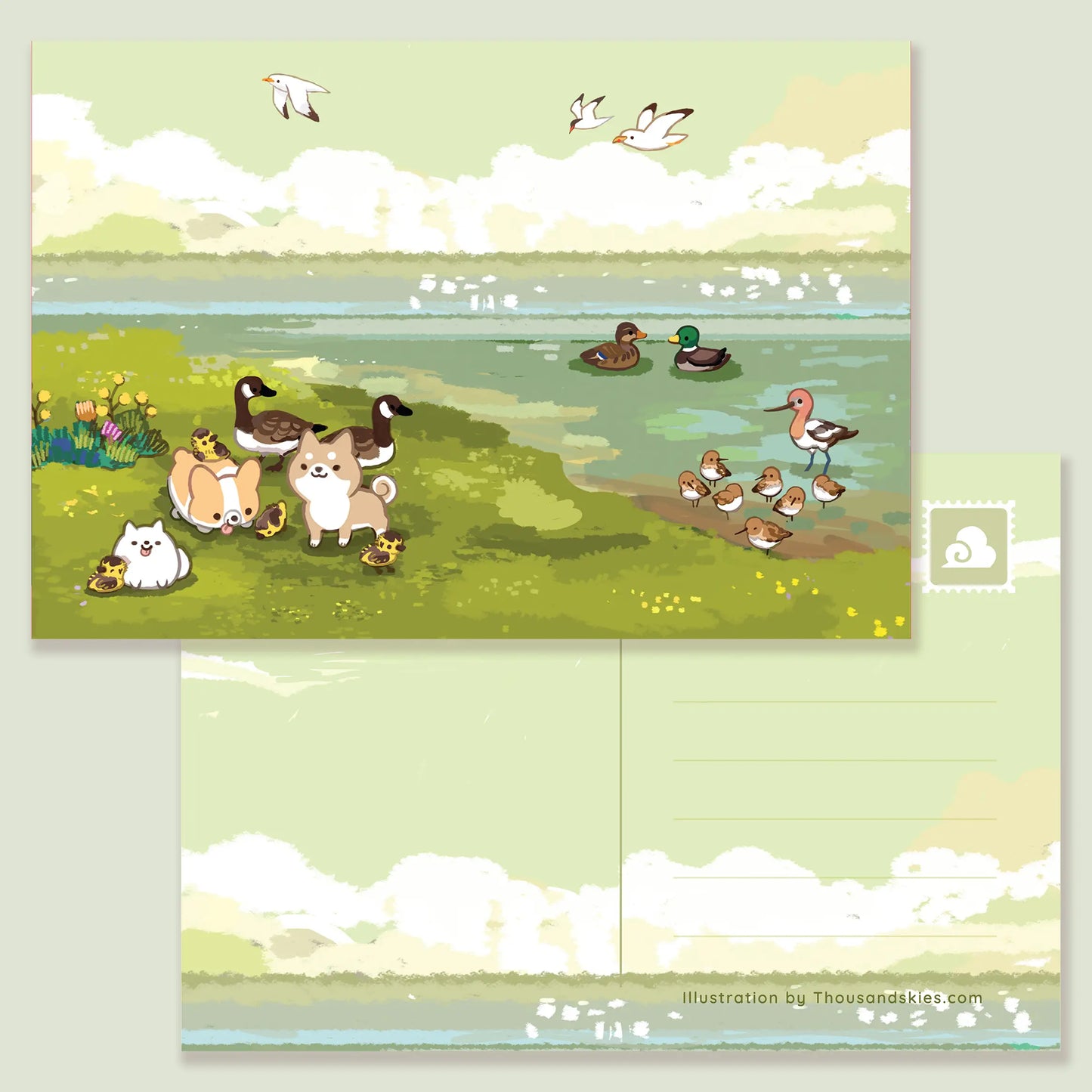 Thousand Skies postcard - by the shoreline