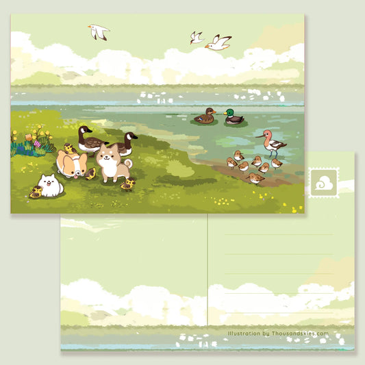 Thousand Skies postcard - by the shoreline