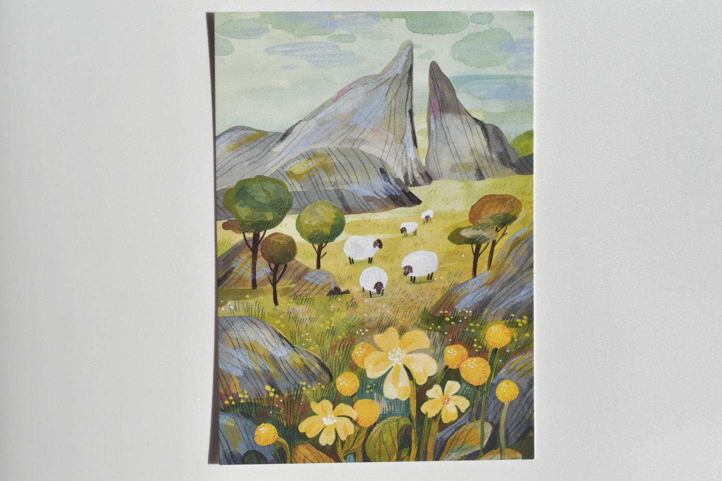 Wild Pencil postcard - sheep