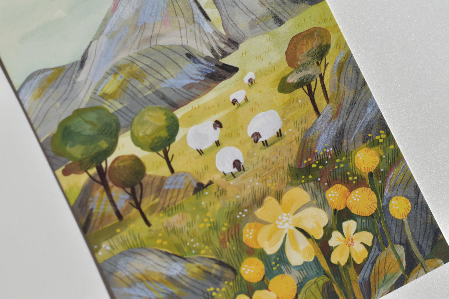Wild Pencil postcard - sheep