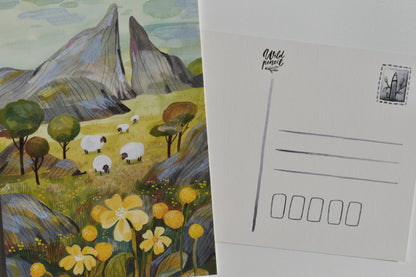 Wild Pencil postcard - sheep