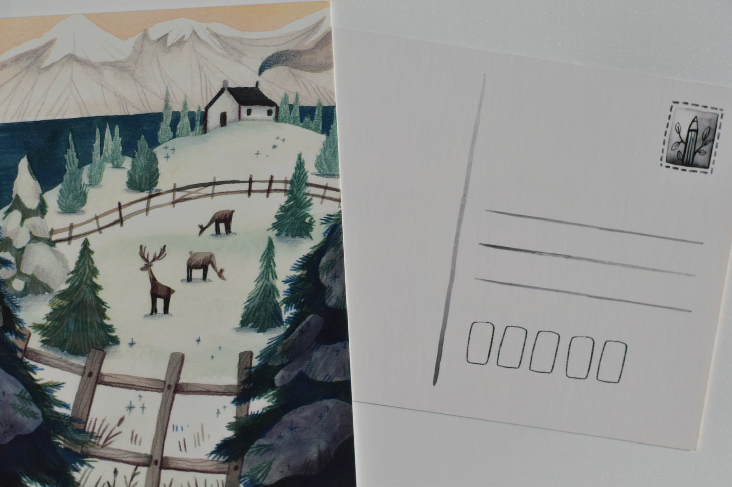 Wild Pencil postcard - winter meadow