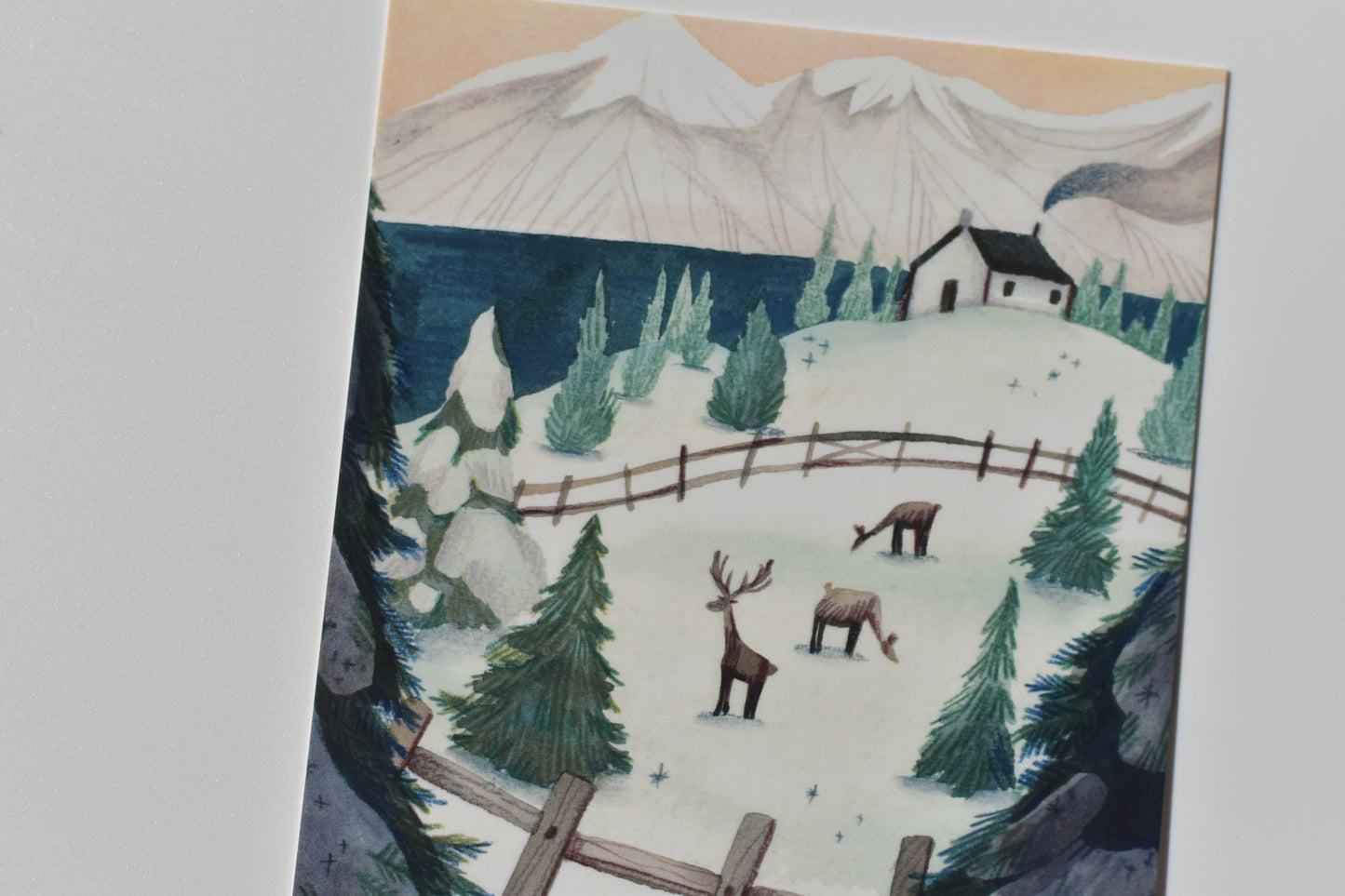 Wild Pencil postcard - winter meadow