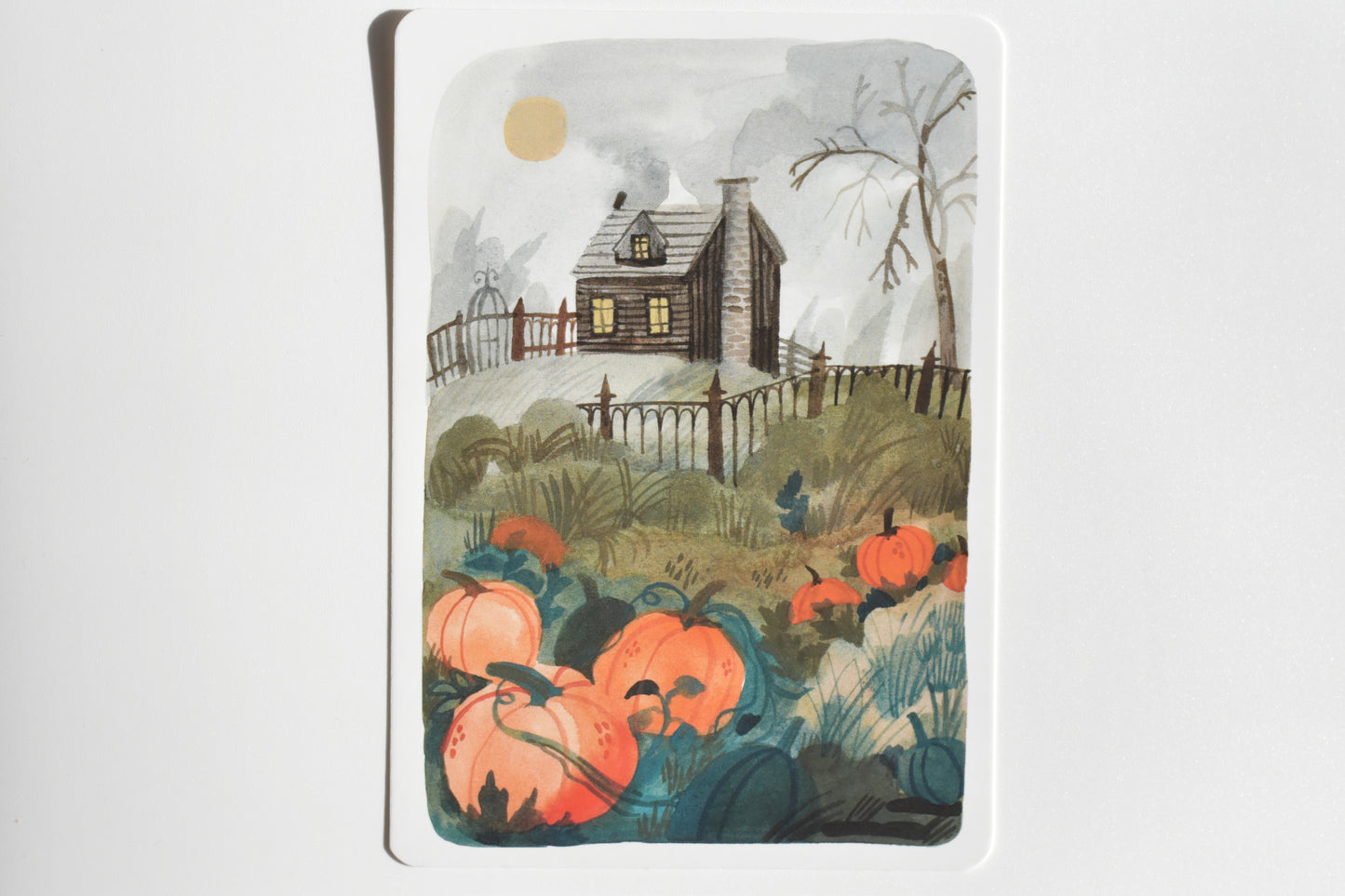 Wild Pencil postcard set - autumn landscapes