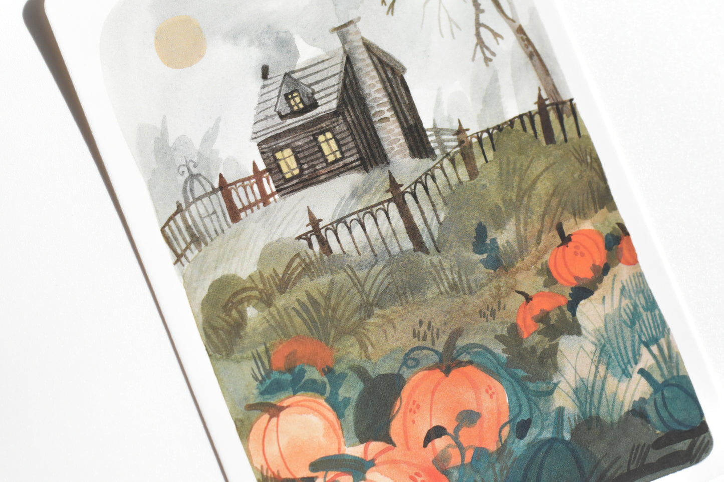 Wild Pencil postcard set - autumn landscapes