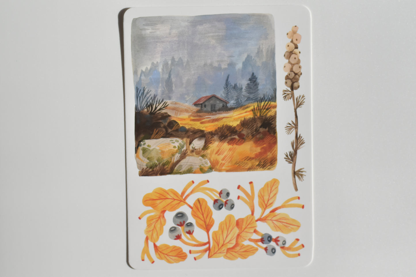 Wild Pencil postcard set - autumn landscapes