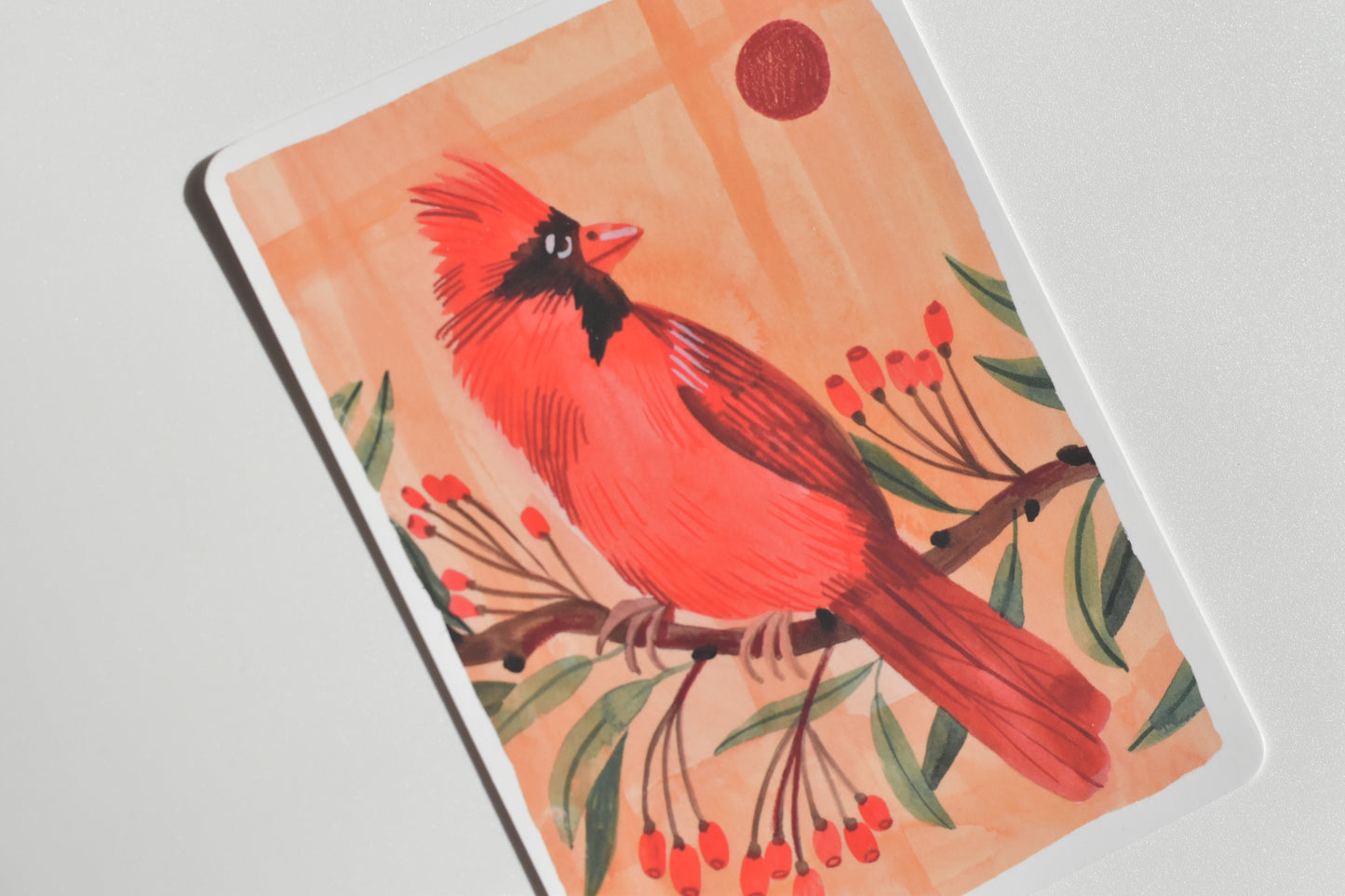 Wild Pencil postcard set - merry Christmas