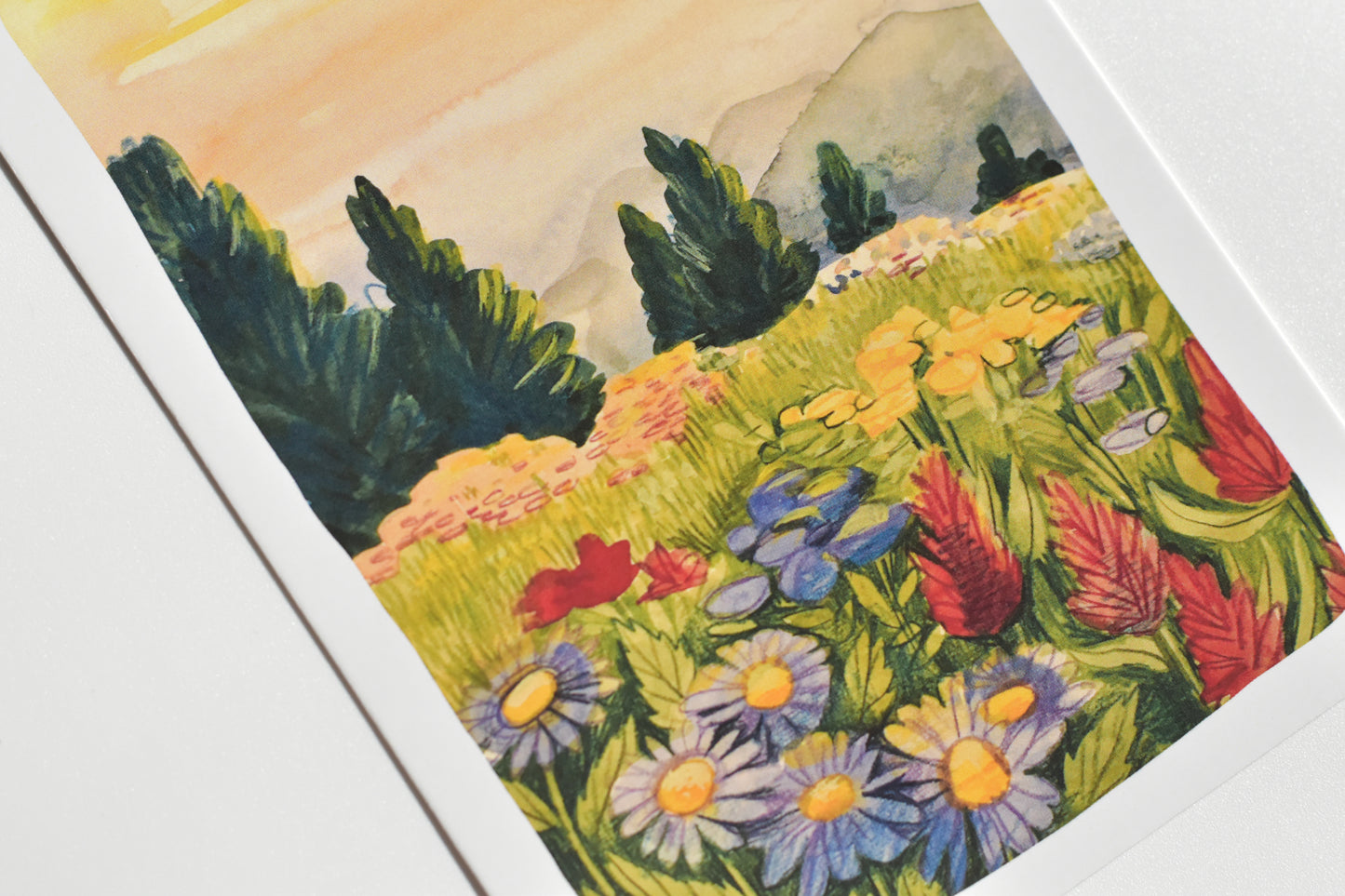 Wild Pencil postcard set - landscape