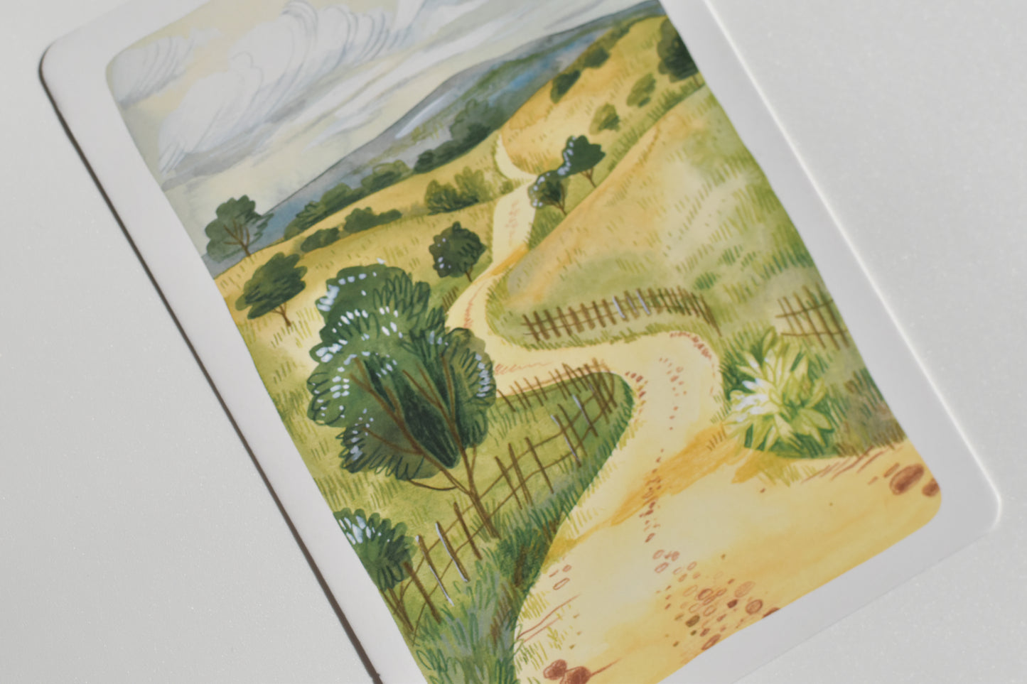 Wild Pencil postcard set - landscape