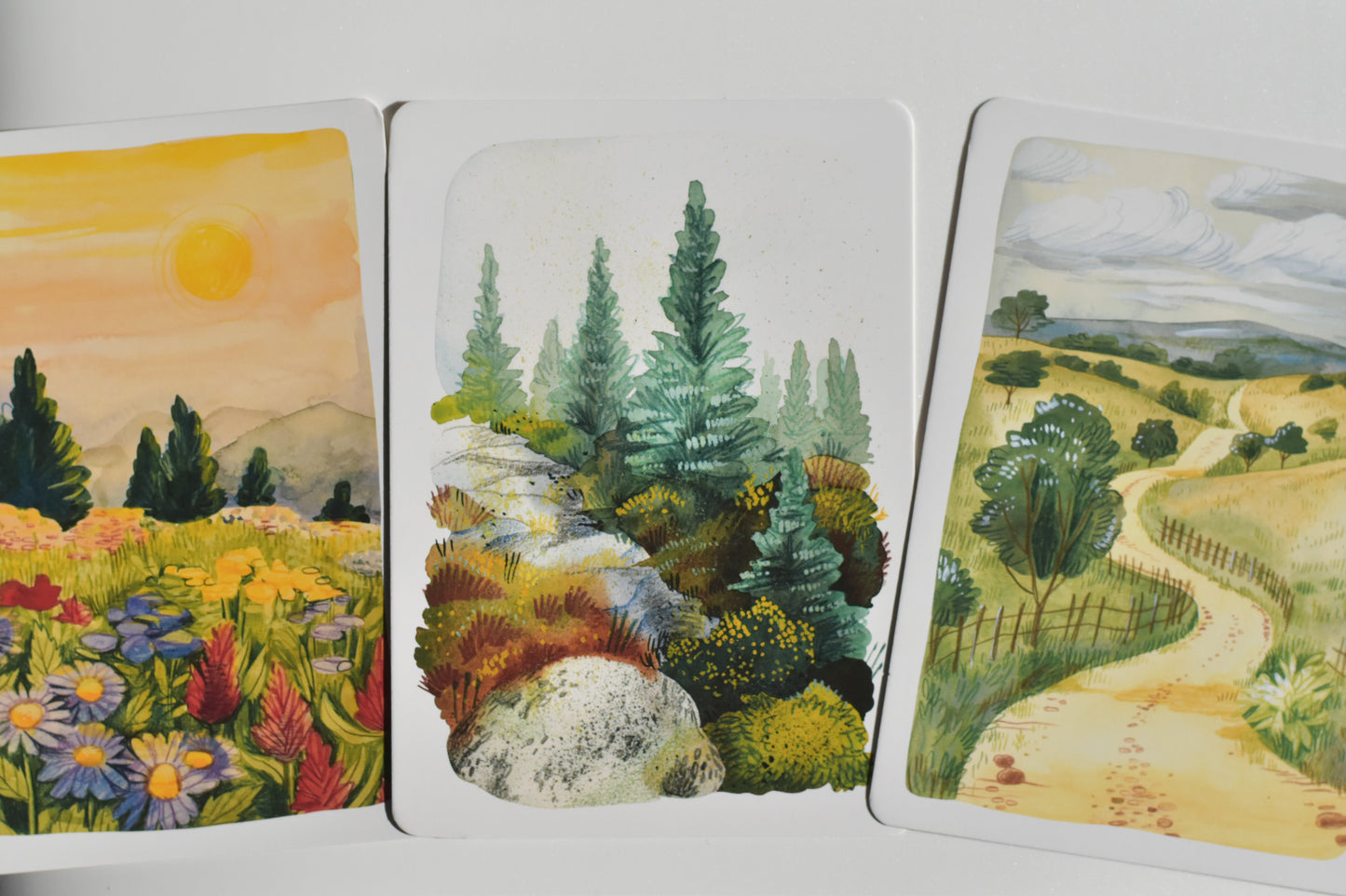 Wild Pencil postcard set - landscape