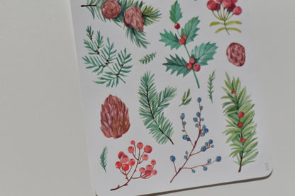 Wild Pencil sticker sheet - Christmas foliage