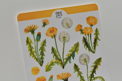 Wild Pencil sticker sheet - dandelions