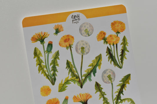 Wild Pencil sticker sheet - dandelions