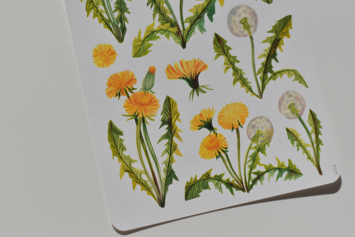 Dandelion Sticky Notes Wild Pencil sticker sheet - dandelions – A Letter To Stationery