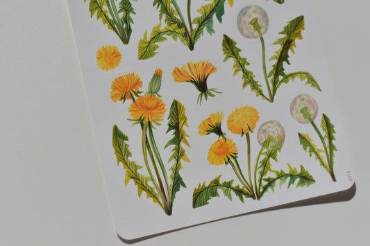 Wild Pencil sticker sheet - dandelions