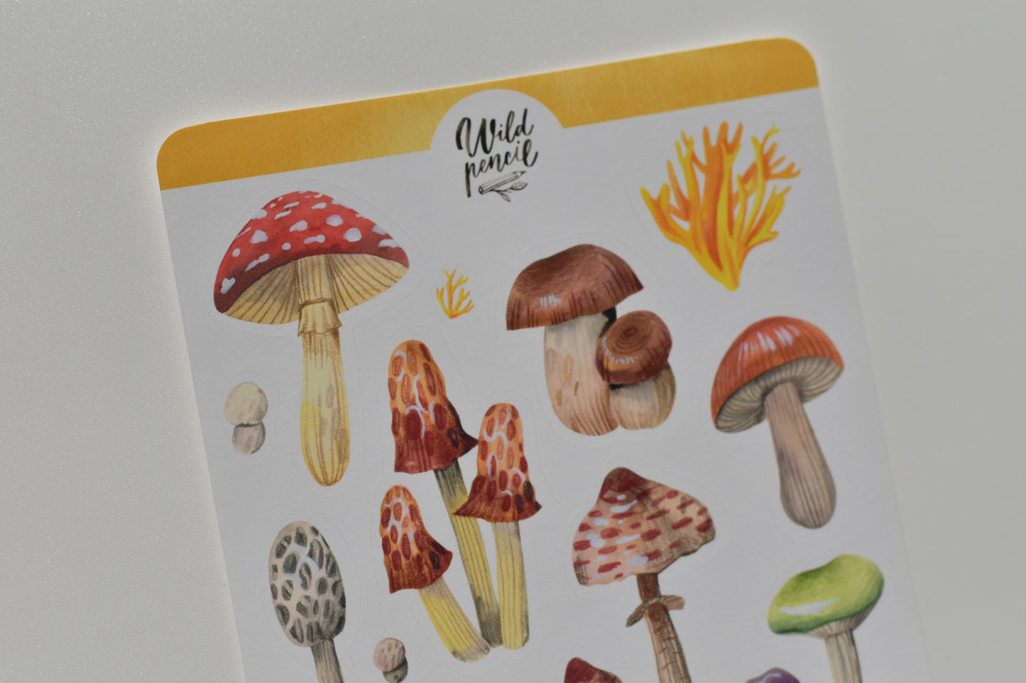 Wild Pencil sticker sheet - mushrooms