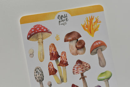 Wild Pencil sticker sheet - mushrooms