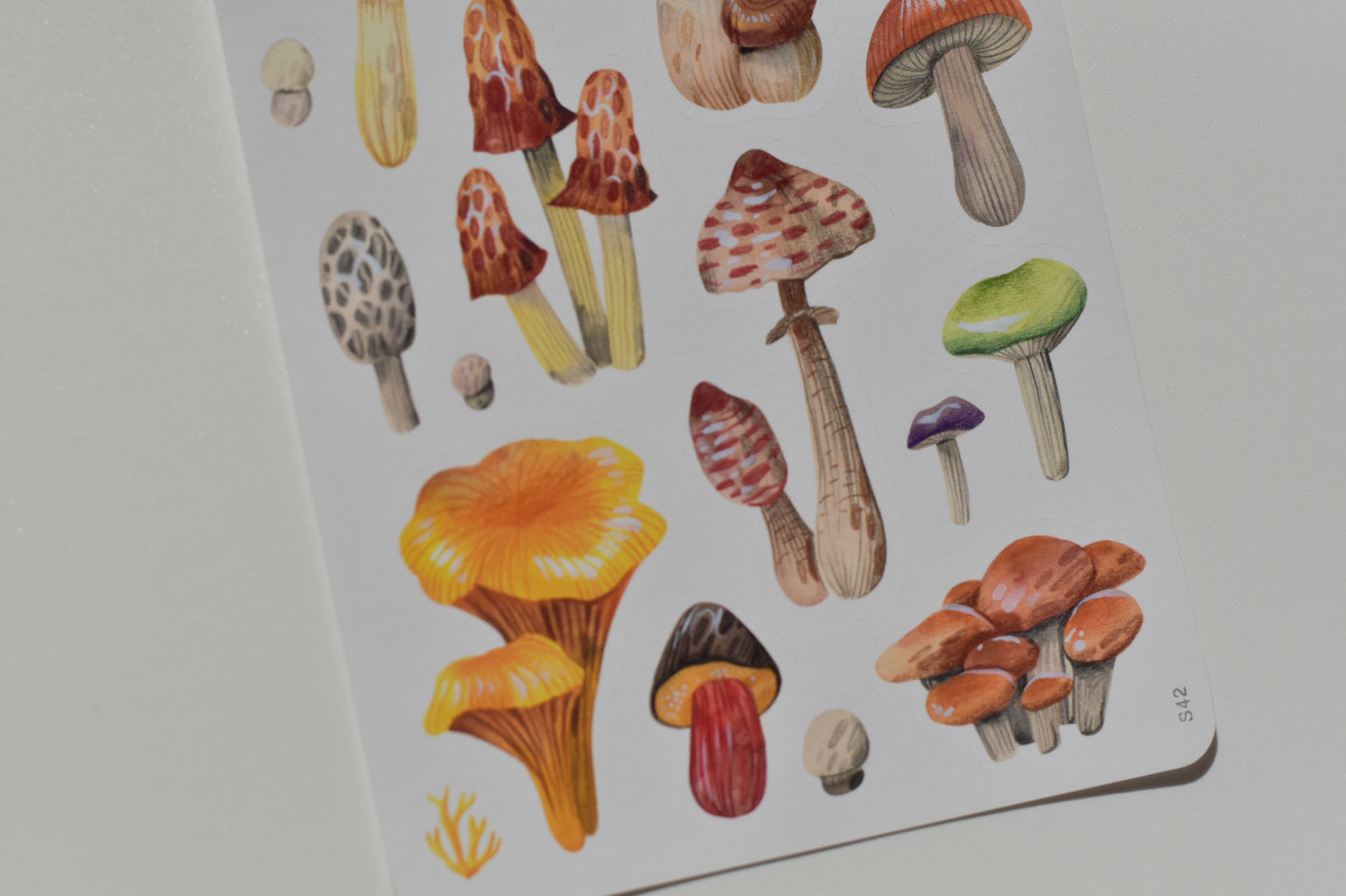 Wild Pencil sticker sheet - mushrooms