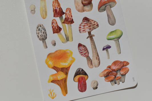 Wild Pencil sticker sheet - mushrooms